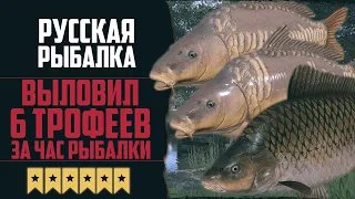 ТРОФЕЙНАЯ РАЗДАЧА | 6 Огромных Карпов за Час 🔴 Русская Рыбалка 4