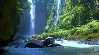 FUN YOUR EYES & MIND - WATERFALL RELAXATION & NATURAL SOUNDS
