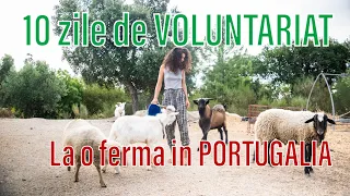 10 zile de VOLUNTARIAT la o ferma in Portugalia