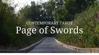 Page of Swords in 3 Minutes