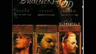 brotherhood - one shot