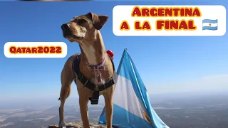 VIVO - Argentina 🇦🇷 a la FINAL 💪🤗