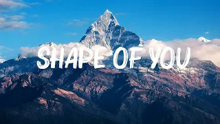 Ed Sheeran - Shape Of You (Lyrics) 🍀Songs with lyrics