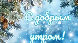 Доброе декабрьское утро❄️ Прекрасного зимнего настроения ☃️