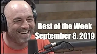 Best of the Week - September 8, 2019 - Joe Rogan Experience