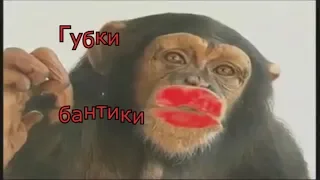 С. Трандафилов -  Губки бантики /COVER/