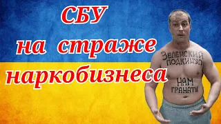 СБУ на страже наркобизнеса