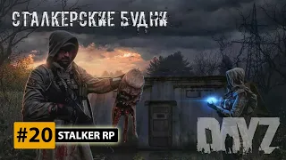 ☢️DayZ STALKER RP STREAM #20. Стрим сталкер РП. Дикая территория.