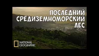 Дикая природа Средиземноморья #209 #519