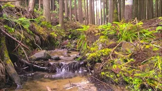 鋼琴、流水聲、放鬆睡覺、午休睡眠、專治失眠、男女瑜咖、舒壓按摩、冥想放空流水聲、放鬆睡覺、午休睡眠、專治失眠、男女瑜咖、舒壓按摩、冥想放空Piano, running water sound,