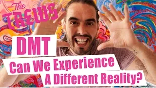 DMT - Can We Experience A Different Reality? Russell Brand The Trews (E360)