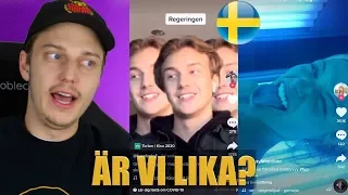 REAGERAR PÅ SVENSKA TIK TOK! 🇸🇪 | Hittat min dubbelgångare?