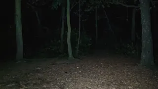 creepy demonic screams heard in woods