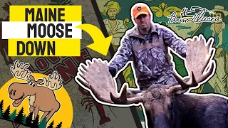 MAINE MOOSE GETS SHANKED! - Amazing Moose Bowhunt Featuring Pigman.