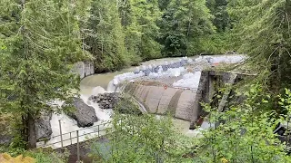 16 miles of fish habitat will be restored when this dam is removed