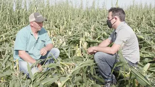 How Iowa's Corn Crop Loss Affects Us All