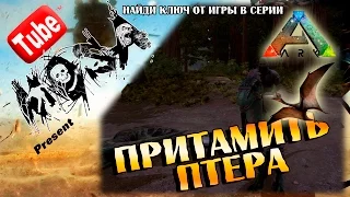 АРК Приручение птера | ARK Survival Evolved