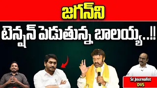 Nandamuri Balakrishna Big Sketch On CM Jagan | TDP Election Campaign | AP ELECTIONS 2024 | Wild Wolf