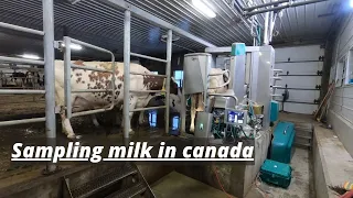First time sampling milk in robots!! | How does it work??