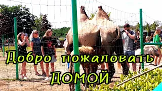 Харьков19.07.2023.В Фельдман экопарк возвращаются животные.Девушка и саксофон.Бесплатное угощение.