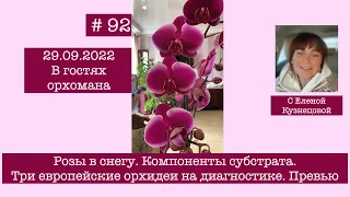 # 92 В гостях у орхомана. Розы в снегу. Компоненты субстрата. Три орхидеи на диагностике. 1 серия