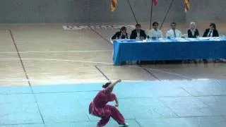 Internationale Wushu championships Ibiza 12-11-2011