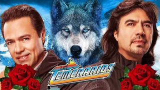 LOS TEMERARIOS VIEJITAS ROMANTICAS ÉXITOS - LOS TEMERARIOS MIX ROMANTICAS PARA ENAMORARSE Y MAS