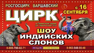 ВАРШАВСКИЙ ЦИРК. Шоу индийских слонов.