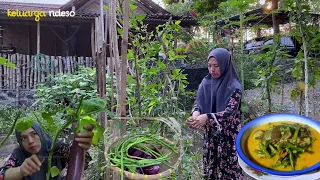 terong dan kacang panjang di kebun sudah bisa di panen, lanjut masak sayur lodeh, goreng ikan asin