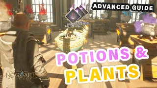 Advanced Potion and Pot Plant Farm Guide ► Hogwarts Legacy