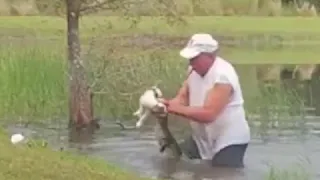 Florida Man Wrestles His Puppy From Jaws of Alligator