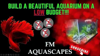 How to build a stunning aquarium on a very low budget! A how to guide on the basics of aquascaping.