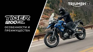 Подробный обзор: Tiger 1200 GT Pro