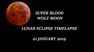 Super Blood Wolf Moon travel through stars.  60fps. Lunar Eclipse 2019 Timelapse (44 secs)