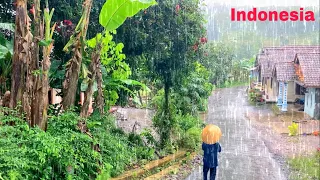 Rain in heavenly village||Indonesian rural atmosphere||indonesian village