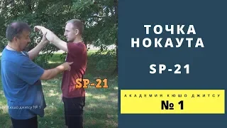 Болевые точки нокаута. SP 21.