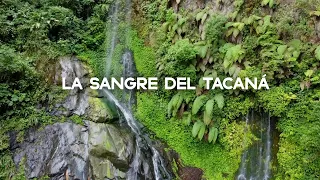 Waterfall Sangre del Tacaná, the home of the quetzal and the curassow - Chiapas.