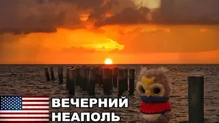 Вечерний Неаполь / Флорида / США #40