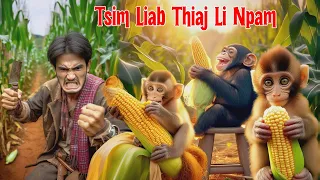 Npuag Yaj Tsim Txom Liab Thiaj Li Npam Tuag 5/10/2024