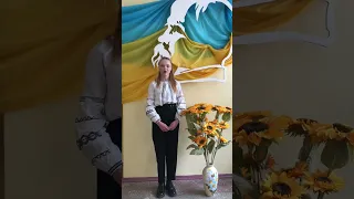 Відео 3