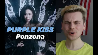 HITTING THE BOOKS (퍼플키스(PURPLE KISS) 'Ponzona' MV Reaction)