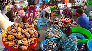 Ever seen Cambodian fish market? Largest fish distribution site in Phnom Penh, PrekPhnov fish market