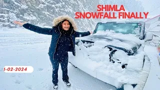SHIMLA SNOWFALL FINALLY | LATEST SNOWFALL SHIMLA KUFRI | 1FEB 2024 | FIRST SNOWFALL THIS SEASON