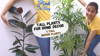 7 TALL PLANTS FOR HOME DECOR | Best indoor plants in India | Plant decoration ideas at home