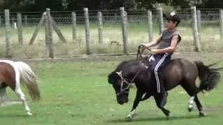 Oscar Alejandro enlazando al pony Coco