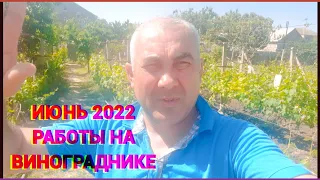 Июнь 2022, работы на винограднике