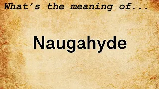 Naugahyde Meaning : Definition of Naugahyde