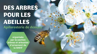 Des arbres pour les abeilles. L’api-foresterie de demain par Yves Darricau.