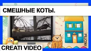 Видео-клип Коты и вороны. Серия 16. #Видеоклип Вороны и коты