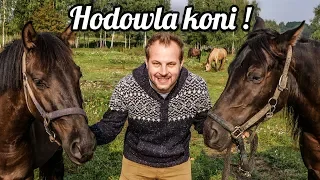 CIEKAWOSTKI O HODOWLI KONIA W DOMU